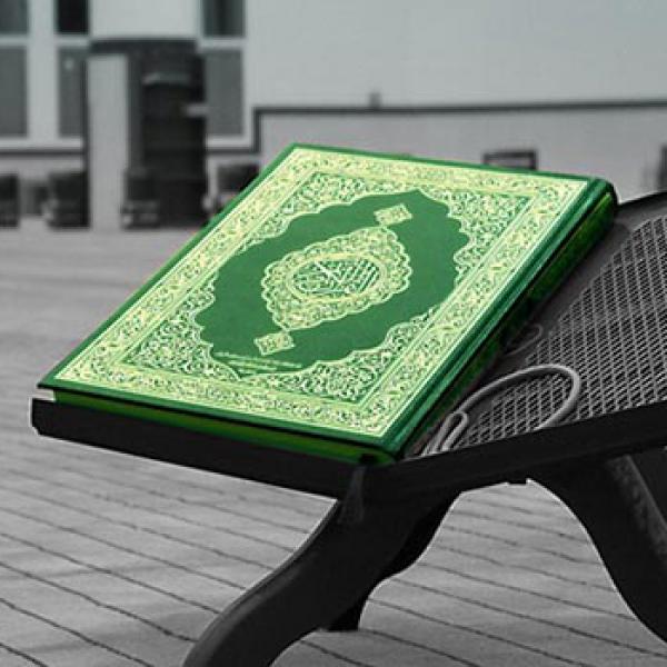 الحلقات القرآنية